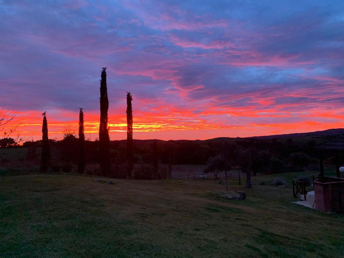 Willa Bio Agriturismo La Bell'Antiglia Montemerano Zewnętrze zdjęcie
